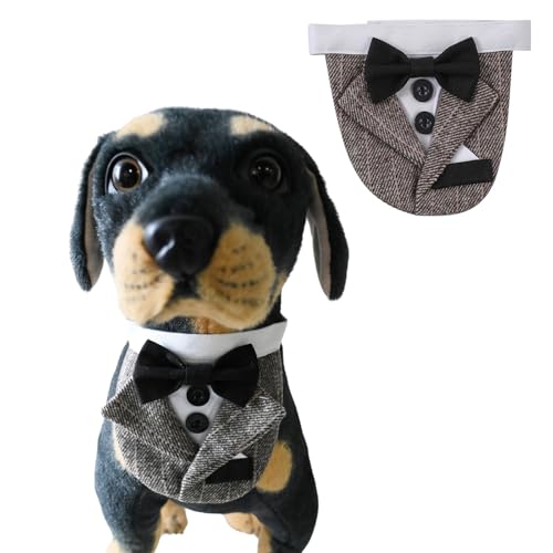 BT Bear Hunde-Smoking, Hundehalstuch, Hundehalsband mit Fliege, verstellbar, Haustierparty, Hochzeitskleidung, Outfit, Cosplay für mittelgroße und große Hunde (Braun, L) von BT Bear