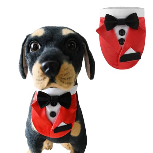 BT Bear Hunde-Smoking, Hundehalstuch, Hundehalsband mit Fliege, verstellbar, Haustierparty, Hochzeitskleidung, Outfit Cosplay für Katzen, kleine Hunde, mittelgroße Hunde (Rot, M) von BT Bear