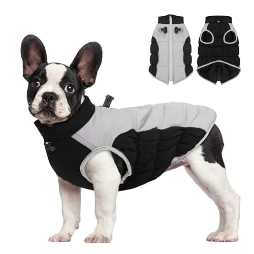 BT Bear Hunde-Wintermantel, verstellbar, wasserdicht, reflektierend, warme Jacke, kaltes Wetter, Haustier-Outdoor-Kleidung für mittelgroße Hunde und große Hunde, Größe 6XL, Schwarz von BT Bear