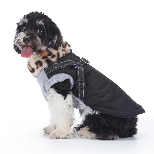 BT Bear Hunde-Wintermantel, warme Hundejacke, Plüschkragen, reflektierend, mit Geschirr, winddicht, Outdoor-Kleidung für Welpen, kleine Hunde (S, Schwarz) von BT Bear