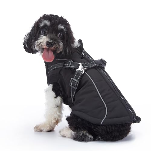 BT Bear Hunde-Wintermantel, warme Hundejacke, reflektierend, mit Geschirr, Weste für kaltes Wetter, winddicht, Outdoor-Kleidung für Welpen, kleine Hunde (S, Schwarz) von BT Bear