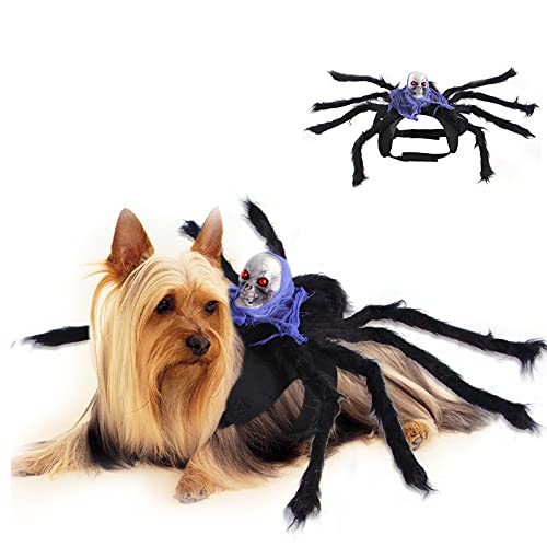 Halloween-Kostüm für Hunde und Katzen, Totenkopf-Spinne, Cosplay, Dekoration, Party-Kostüme für Katzen, Welpen, kleine Hunde (lila, klein) von BT Bear