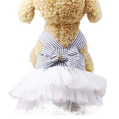 Hunderock, Hunde Prinzessin Kleid Welpe Tutu Bowknot Rock Süß Haustier Sommerbekleidung Kleidung für kleine Hunde Katzen mittelgroße Hunde (blau mit weiß, groß) von BT Bear