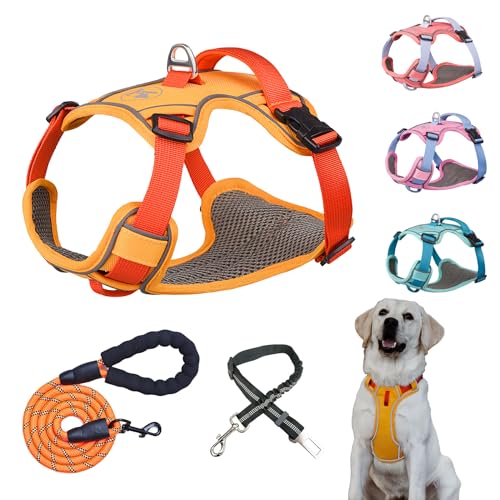 BTDCFY Hundegeschirr, reflektierend, mit leicht zu kontrollierendem Griff, verstellbar, Oxford-Hundegeschirr mit Leine und Auto-Sicherheitsgurt, Größe L (Hals: 58,4 cm - 75 cm, Brust: 81,3 - 106,7 von BTDCFY