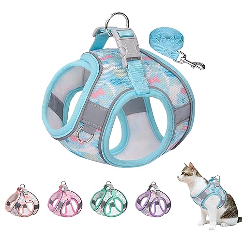 BTDCFY Step In Mesh Hundegeschirr und Leine, Set, atmungsaktiv, Air-Mesh-reflektierend, ausbruchsicher, kein Würgen, leichtes Mesh-Hundegeschirr (XXS, Hals: 21,6 cm - 24,1 cm, Brust: 25,4 cm - 29,2 von BTDCFY