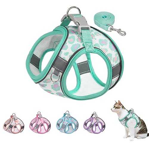 BTDCFY Step In Mesh Hundegeschirr und Leine, Set Atmungsaktives Air-Mesh Reflektierend, Ausbruchsicher, Hundegeschirr, Weste, kein Würgen, leichtes Mesh-Hundegeschirr (M(Hals: 30,5 cm - 34,3 cm, von BTDCFY