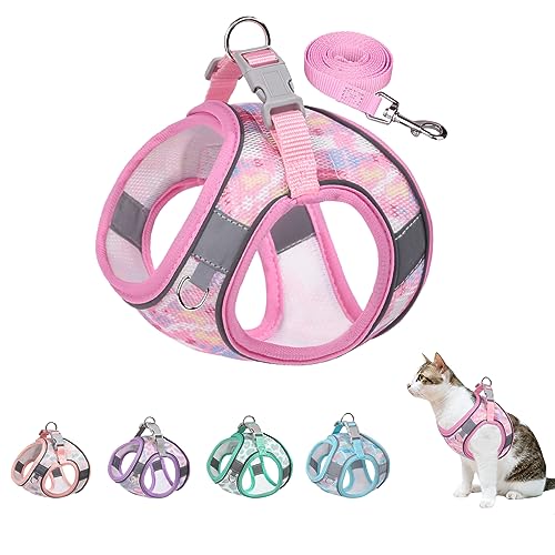 BTDCFY Step in Mesh Hundegeschirr und Leine, atmungsaktives Air-Mesh-Hundegeschirr, reflektierend, ausbruchsicher, kein Würgen, leicht, Größe L (Halsumfang: 34,3 - 39,4 cm, Brustumfang: 45,7 - 49,5 von BTDCFY