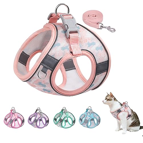 BTDCFY Step In Mesh Hundegeschirr und Leine, Set Atmungsaktives Air-Mesh Reflektierend Ausbruchsicher Hundegeschirr Weste Kein Würgen Leichtes Mesh Hundegeschirr (M(Hals: 30,5 cm-34,3 cm, Brust: 40,6 von BTDCFY