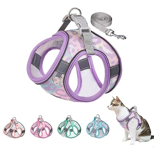 BTDCFY Step in Mesh Hundegeschirr und Leine, Set, atmungsaktiv, Air-Mesh-reflektierend, ausbruchsicher, Hundegeschirr, Weste, kein Würgen, leichtes Mesh-Hundegeschirr (XS (Hals: 24,1 cm - 26,7 cm, von BTDCFY