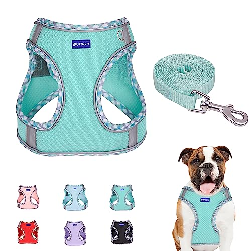 BTDCFY Step in Mesh Hundegeschirr und Leine Set Atmungsaktives Air Mesh Reflektierend Ausbruchsicher Hundegeschirr Weste Kein Würgen Leichtes Mesh Hundegeschirr von BTDCFY