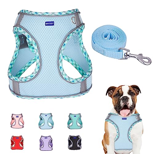 BTDCFY Step in Mesh Hundegeschirr und Leine, Set aus atmungsaktivem Air-Mesh, reflektierend, ausbruchsicher, kein Würgen, leichtes Netz-Hundegeschirr, Blau von BTDCFY