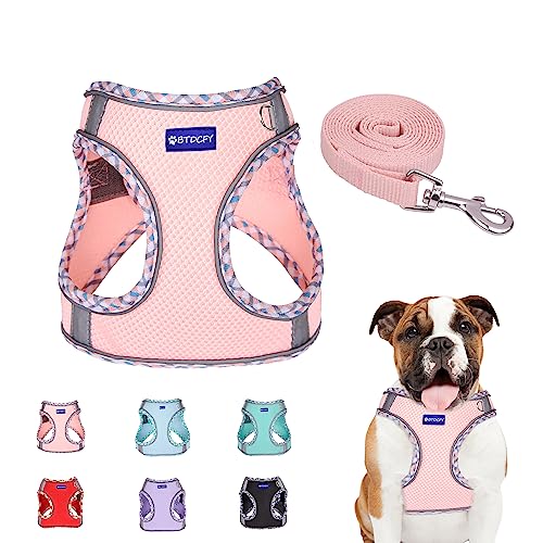 BTDCFY Step in Mesh Hundegeschirr und Leine Set Atmungsaktives Air Mesh Reflektierend Ausbruchsicher Hundegeschirr Weste Kein Würgen Leichtes Mesh Hundegeschirr von BTDCFY