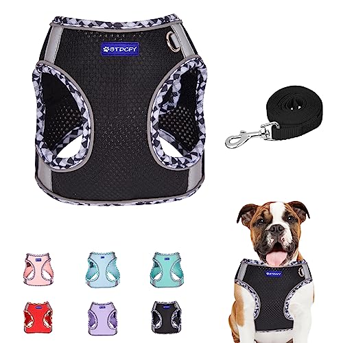 BTDCFY Step in Mesh Hundegeschirr und Leine Set Atmungsaktives Air Mesh Reflektierend Ausbruchsicher Hundegeschirr Weste Kein Würgen Leichtes Mesh Hundegeschirr von BTDCFY