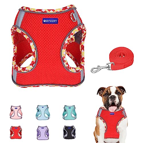 BTDCFY Step in Mesh Hundegeschirr und Leine Set Atmungsaktives Air Mesh Reflektierend Ausbruchsicher Hundegeschirr Weste Kein Würgen Leichtes Mesh Hundegeschirr von BTDCFY