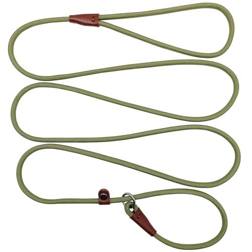 BTINESFUL Hundeleine, 2,1 m, starkes Nylonseil, 0,6 cm Durchmesser, Hundetrainingsleine für kleine, mittelgroße und große Hunde, Grasgrün von BTINESFUL