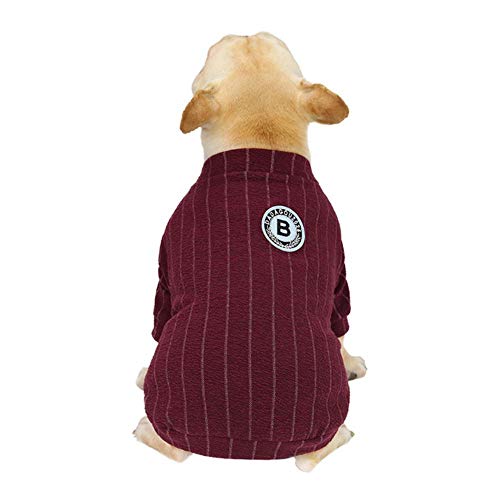 BTKNOO Haustier Hund Mäntel Jacken Kostüm Haustier Kleidung für Hund Welpen Kleidung für Chihuahua York Chihuahua Hund Kleidung Hoodies Haustiere Kleidung von BTKNOO