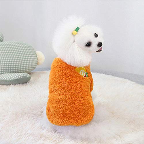 BTKNOO Weiche warme Fleece-Hundekleidung Süße Fruchtdruck-Welpen-Haustierpullover Bequeme Katzentier-Pullover-Kleidung für kleine große Hunde von BTKNOO