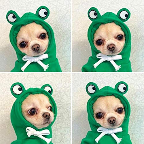 BTKNOO Winter Hund Katze Hoodie Süße Frucht Haustier Kostüm für kleine Hunde Katzen Welpe Yorkies Pudel Sweatshirt Hund Kleidung Maskottchen Kostüme von BTKNOO