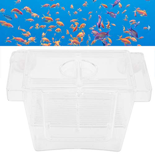 Aquarium-Brut-Zuchtboxen, Acryl-Aquarium-Fisch-Zuchtbox, Schlüpf-Inkubator-Isolationsbox (kleine Größe) von BTOSEP