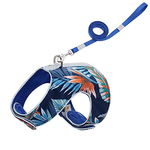 Bucros Hundehalsband Pet-Leine Und Kabelbaum Setzt Anti-Strike-Seil Atmungsaktives Netz Reflektierend Bequeme Hundegurte Im Westenstil-Dark Blue,S 1.5Kg-2.5Kg von BUCROS