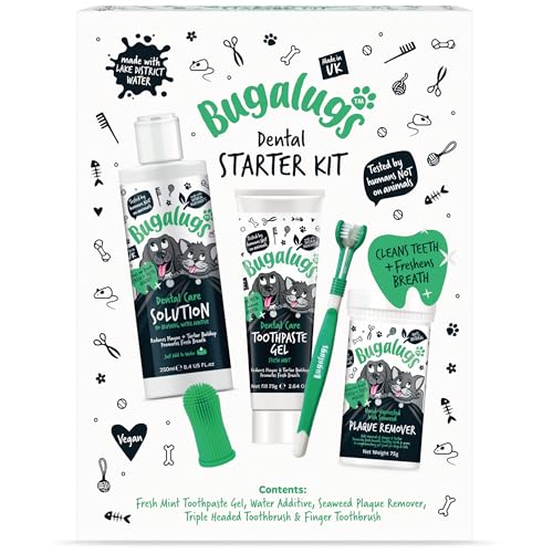 BUGALUGS Starter Dental Kit von BUGALUGS