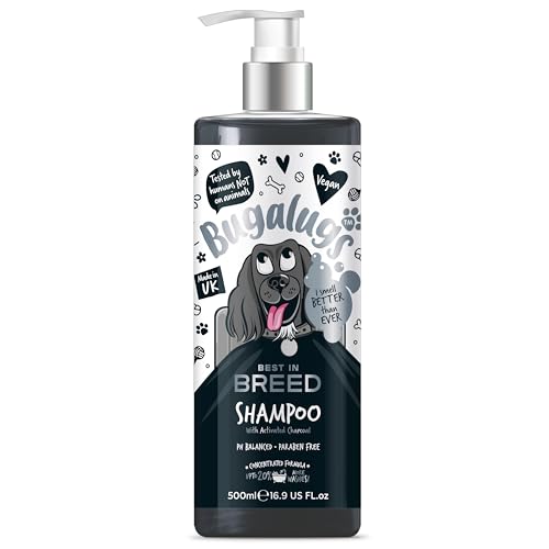 Bugalugs bestes Hunde Pflegeshampoo mit Aktivkohle Zitrusfrüchte Duft Premium von BUGALUGS