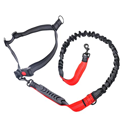 BUGUUYO 1 STK elastisches Laufseil Zugseil Haustiertraining Gürtel Bungee-Leine für Haustiere laufende Leine Hundespaziergang elastische hundeleine Dog Lead Seil Leine Hundeseil rot von BUGUUYO