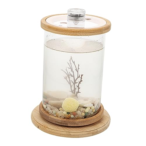 BUGUUYO 1 Satz Desktop Micro View Aquarium Kunstpflanze Desktop-versorgung Desktop-zubehör Transparentes Fischaquarium Dekoratives Fischaquarium Transparente Fischschale Brown Glas von BUGUUYO