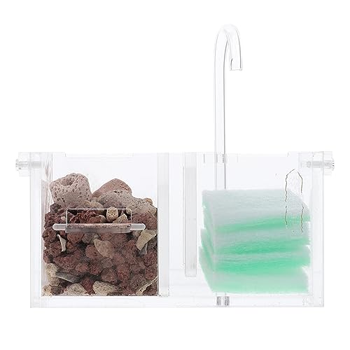 BUGUUYO 1 Satz Filter Für Fischbecken Pumpe Aquarium Fischabscheider Für Aquarien Aquariengitterteiler Tank Futterspender Reiniger Aquarieninnenfilter Automatisch Klärer Transparent Acryl von BUGUUYO