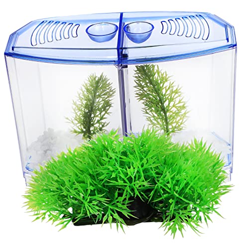 BUGUUYO 1 Satz Fischbecken Aus Kunststoff Mini- Aquarienanlage Lebende Aquarienpflanzen Süßwasser Mini-fischdekoration Aquarium Wasserpflanze Betta-Panzer Aquarium: Kunststoff von BUGUUYO