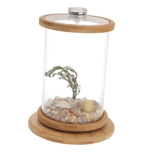 BUGUUYO 1 Set Desktop Micro View Aquarium Desktop Dekoration Mini Aquarium Starter Aquarium Bürozubehör Goldfischglas Hydrokulturpflanze Terrarium Hydrokultur Reinigungstank Grün von BUGUUYO