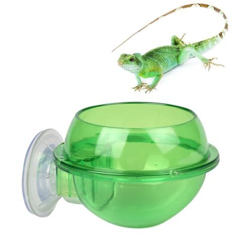 BUGUUYO 1Stk Futterspender für Reptilien Suction Cup saugnäpfe saugnapfhalterung Wassernapf für Reptilien Futternapf für Haustiere Fressnapf für Eidechsen Schildkröten-Trinkschale Green von BUGUUYO