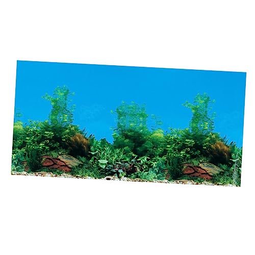 BUGUUYO 1Stk 3D-Glasbild Aquarium-Hintergrundaufkleber 3D-Wandaufkleber Aquariumhintergrund 75-Gallonen-Tank Dekoration Aufkleber für Aquarien Wandtattoo doppelseitig Wassertank -Bild von BUGUUYO