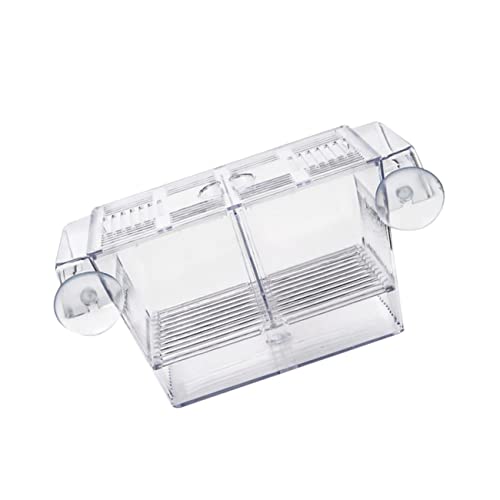 BUGUUYO Aufzuchtbecken Aquarium Fish Tank Fischzuchtbox Transparenter Inkubator Für Fische Isolationsbox Für Guppys Und Betta Aufzuchtbehälter von BUGUUYO