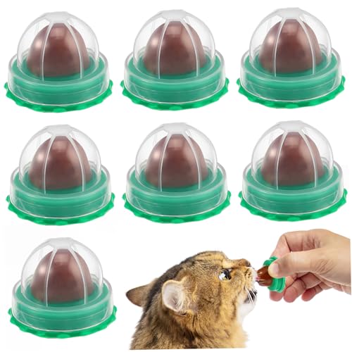 BUGUUYO 20 STK Katze Süßigkeiten Lecken Lecken Spaß Interaktive Leckereien Für Katzen Strumpf Stuffers Snacks Kätzchen-energieball Leckerlis Zum Reinigen Von Katzenzähnen Katzenminze Green von BUGUUYO