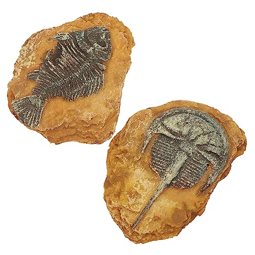 BUGUUYO 2Er-Box simuliertes Harzfossil Reptiliendekore für kleine Haustiere Spielzeug Fisch Aquarium Dekoration Reptile Decor Snake Box Ornaments DIY-Landschaft kriechende Landschaft von BUGUUYO