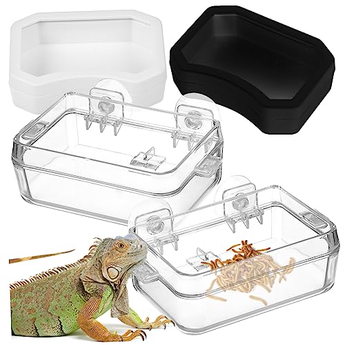 BUGUUYO 2St Futterspender für Reptilien Suction Cup saugnäpfe Reptilienzubehör saugglocke Wassernapf für Reptilien Schale für Reptilien Futternapf für Reptilien Chamäleonschale Plastik von BUGUUYO