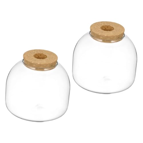 BUGUUYO Künstlerische Glas Moos Pflanze Flasche -Landschaft Glas mit Stopper für Home Decor von BUGUUYO