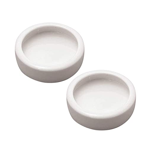 BUGUUYO Heimtierbedarf Keramik Runde Gerichte Garnelen Lebensmittel Becken Feeder Bowl für Reptilien Fische Eidechsen 2PCS von BUGUUYO