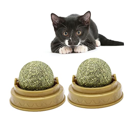 BUGUUYO 4 Stück Katzensnacks Süßigkeiten Katzensachen Katzenbissball Verdauungsförderer Für Katzen Ballspielzeug Zum Aufkleben An Der Wand Katze Behandelt Minzkugel Katze Leckt Ball Green von BUGUUYO