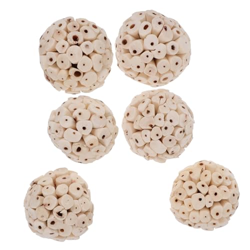 BUGUUYO 6Pcs Papagei Bälle Kaninchen Zubehör Ratte Spielzeug Kauen Bälle für Tiere von BUGUUYO