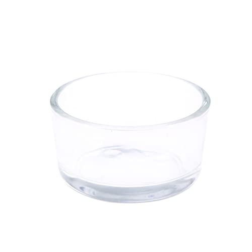 BUGUUYO Futternapf aus Glas Reptile Feeding Bowl Ornamental Supplies for Reptiles Reptile Food Dish Crested Gecko Essen Futternapf für Reptilien Lebensmittel Futterbecken für Reptilien von BUGUUYO