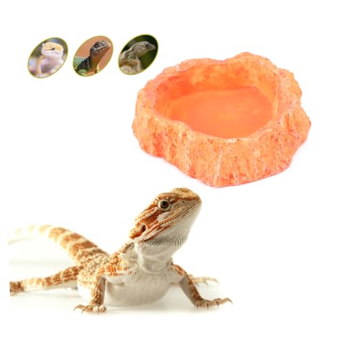 BUGUUYO Futternapf für Haustiere Reptilienzubehör Futternapf für Schildkröten Reptile Feeder Bowl Lizard Feeder Dish schleichtiere Futternapf für Reptilien Futterspender für Reptilien von BUGUUYO