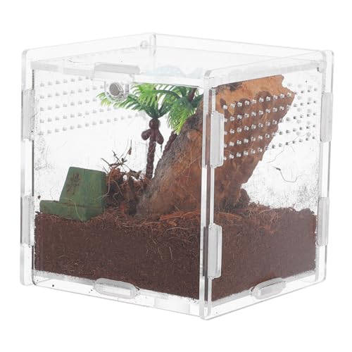 BUGUUYO Haustier Spinnenbox Frosch Plüschtiere Frösche Terrarium Tier Laufstall Chamäleon Zubehör Miniatur Koffer Cricketkäfig Reptiliengehege Haustierkäfig Springender von BUGUUYO