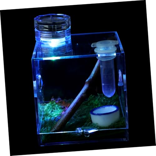 BUGUUYO Kasten Springspinnen-zuchtbox Kleines Terrarium Springender Spinnenkäfig Dekor Zuchtbecken Für Aquarien Käfig Für Spinnenlebensräume Mikrolebensraum Der Spinne Mini-Terrarium Acryl von BUGUUYO