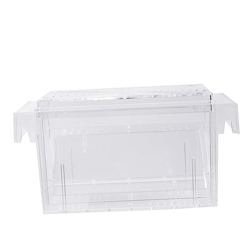 BUGUUYO Kasten Zuchtbecken Für Aquarien Brutstätte Für Artemia Brüterei Mit Wasserisolationsnetz Aquariumzubehör Fischgärtnerei Für Aquarien Tumbler Inkubator Inkubator Transparent von BUGUUYO