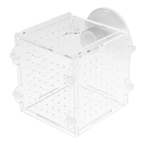 BUGUUYO Kasten Zuchtbox Für Aquarien Aquarium Beleuchtet Aquarium Fischzuchtbecken Aquarienlicht Dekorationen Für Aquarien Fischglas Fischfalle Aquarium Schwimmbad Netz Transparent Acryl von BUGUUYO