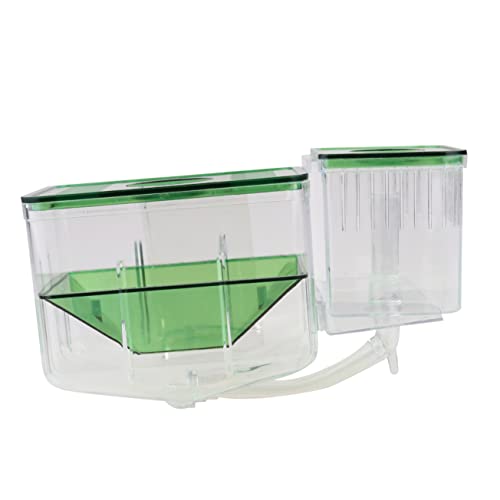 BUGUUYO Kastenkasten isoliertes Aufzuchtbecken Aquarium Aquarium Fischaquarium Aquariumreiniger Aquarienbrutkasten Schutzbereich für Fischbrut Zuchtbecken für Aquarien Green von BUGUUYO