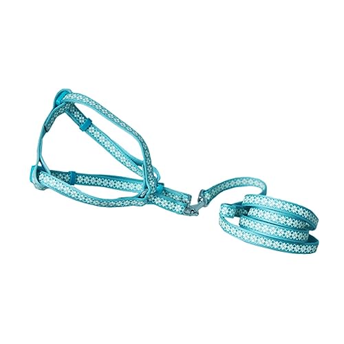 BUGUUYO Trainingsleine Für Hunde Professionelle Hundeleine Abriebfeste Hundeleine Hundeleinenhülle Hund Kette Halsband Strapazierfähige Riemen Haustier Junge Hunde Hundepyjama Dackel Nylon von BUGUUYO