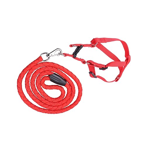 BUGUUYO Pet Supplies Bright Traction XXL Für Große Sichere Und Bequeme BUGUUYO Pet Supplies Bright Traction XXL Für Große Sichere Und Bequeme von BUGUUYO